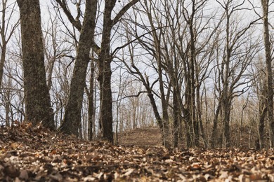 THE COLBERT 79 IS A MUST-SEE PROPERTY WITH GORGEOUS RIDGE-TOP - photo 13