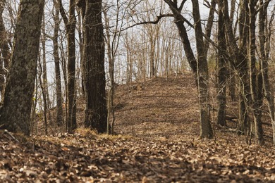 THE COLBERT 79 IS A MUST-SEE PROPERTY WITH GORGEOUS RIDGE-TOP - photo 14