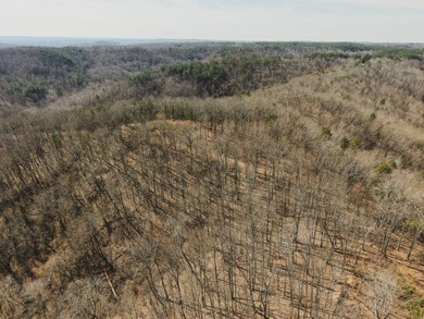 THE COLBERT 79 IS A MUST-SEE PROPERTY WITH GORGEOUS RIDGE-TOP - photo 17