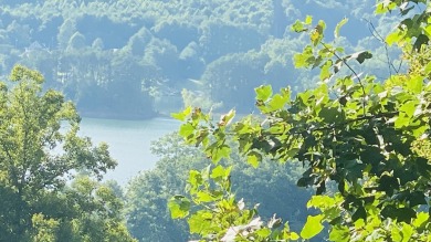 Watauga Lake Lot For Sale in Bulter Tennessee
