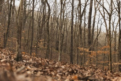 THE COLBERT 79 IS A MUST-SEE PROPERTY WITH GORGEOUS RIDGE-TOP - photo 27