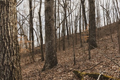THE COLBERT 79 IS A MUST-SEE PROPERTY WITH GORGEOUS RIDGE-TOP - photo 28