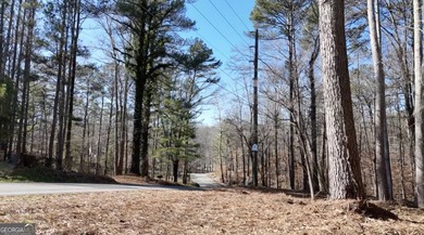 1.23.26 UPDATE: The 30' Ingress/Egress & Utility easement has - photo 9