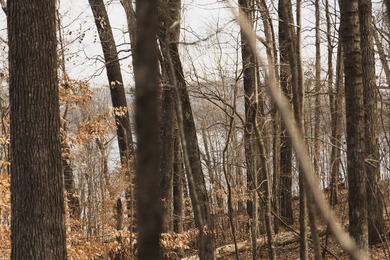 THE COLBERT 79 IS A MUST-SEE PROPERTY WITH GORGEOUS RIDGE-TOP - photo 31