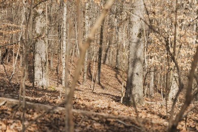 THE COLBERT 79 IS A MUST-SEE PROPERTY WITH GORGEOUS RIDGE-TOP - photo 39