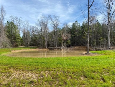 (private lake, pond, creek) Acreage For Sale in Brookhaven Mississippi