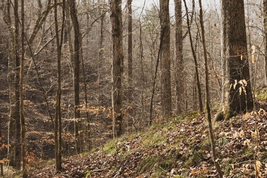 THE COLBERT 79 IS A MUST-SEE PROPERTY WITH GORGEOUS RIDGE-TOP - photo 41