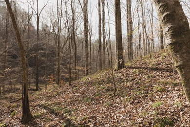 THE COLBERT 79 IS A MUST-SEE PROPERTY WITH GORGEOUS RIDGE-TOP - photo 42