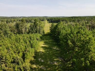 A gorgeous, large contiguous tract in the Avera community - photo 12