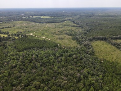 A gorgeous, large contiguous tract in the Avera community - photo 13