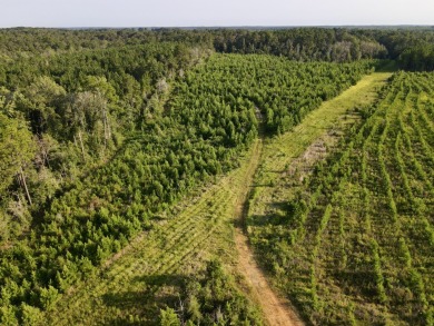 A gorgeous, large contiguous tract in the Avera community - photo 14