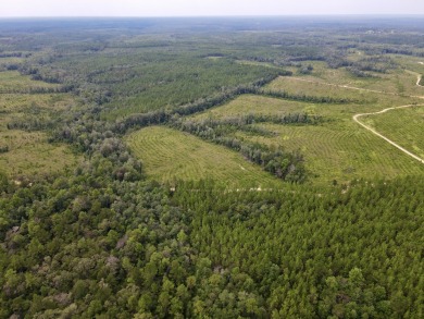 A gorgeous, large contiguous tract in the Avera community - photo 15
