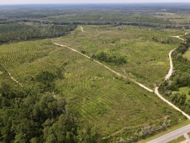 A gorgeous, large contiguous tract in the Avera community - photo 16