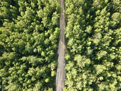 A gorgeous, large contiguous tract in the Avera community - photo 17