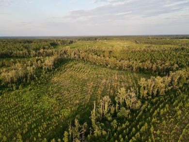 A gorgeous, large contiguous tract in the Avera community - photo 18