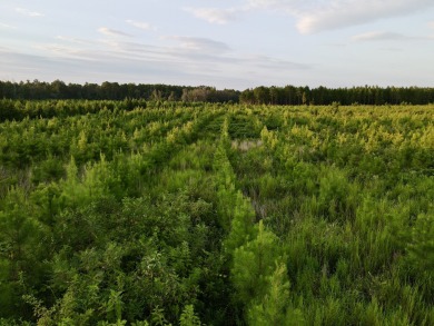A gorgeous, large contiguous tract in the Avera community - photo 19