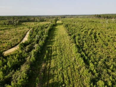 A gorgeous, large contiguous tract in the Avera community - photo 20