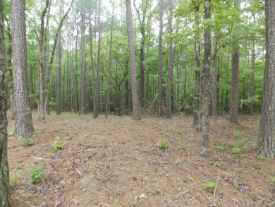 Lake Lot For Sale in Tignall, Georgia