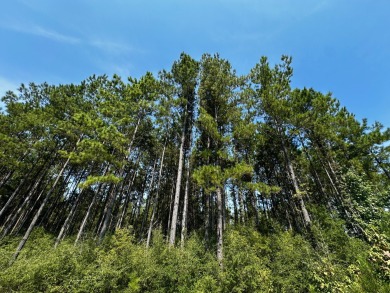 A gorgeous, large contiguous tract in the Avera community - photo 21