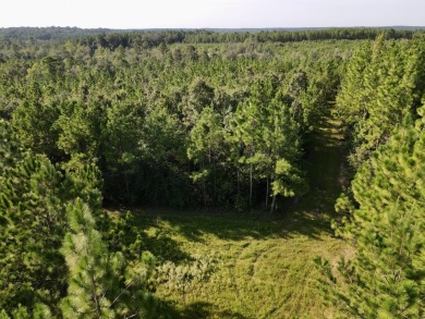 A gorgeous, large contiguous tract in the Avera community - photo 22