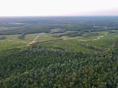 A gorgeous, large contiguous tract in the Avera community - photo 24