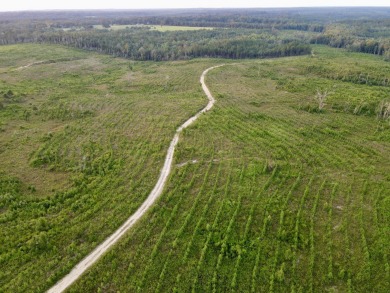A gorgeous, large contiguous tract in the Avera community - photo 25
