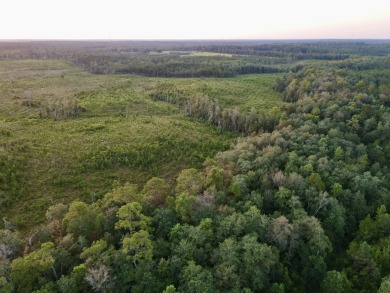 A gorgeous, large contiguous tract in the Avera community - photo 26