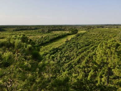 A gorgeous, large contiguous tract in the Avera community - photo 27