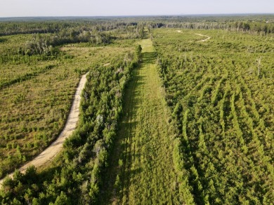 A gorgeous, large contiguous tract in the Avera community - photo 28