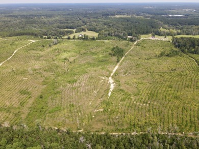 A gorgeous, large contiguous tract in the Avera community - photo 30