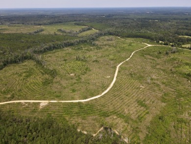A gorgeous, large contiguous tract in the Avera community - photo 31