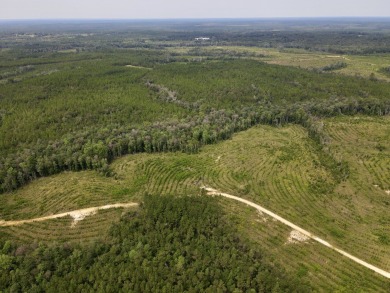 A gorgeous, large contiguous tract in the Avera community - photo 32