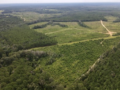 A gorgeous, large contiguous tract in the Avera community - photo 33