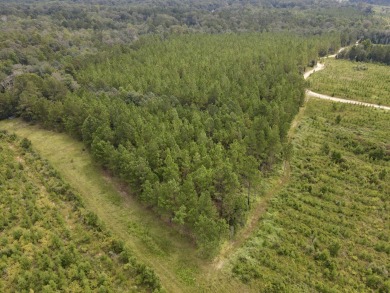 A gorgeous, large contiguous tract in the Avera community - photo 34