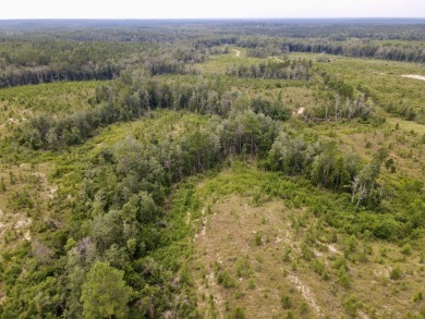 A gorgeous, large contiguous tract in the Avera community - photo 35