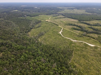 A gorgeous, large contiguous tract in the Avera community - photo 36