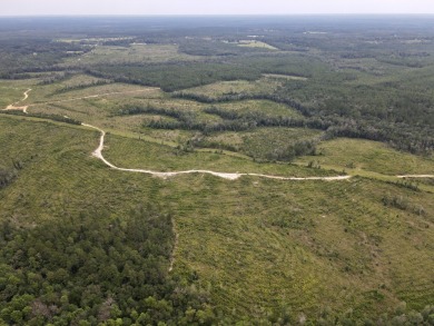 A gorgeous, large contiguous tract in the Avera community - photo 37