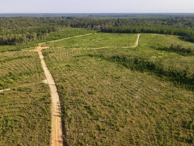 A gorgeous, large contiguous tract in the Avera community - photo 38