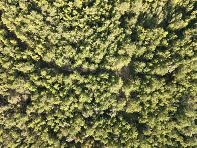 A gorgeous, large contiguous tract in the Avera community - photo 39