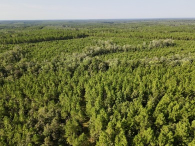 A gorgeous, large contiguous tract in the Avera community - photo 40