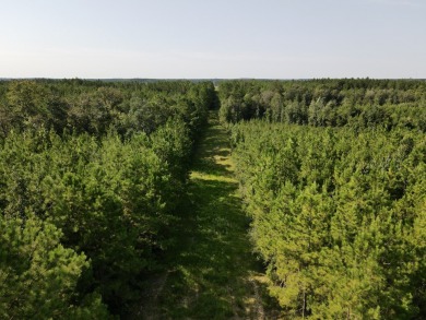 A gorgeous, large contiguous tract in the Avera community - photo 41