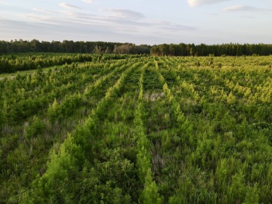 A gorgeous, large contiguous tract in the Avera community - photo 42