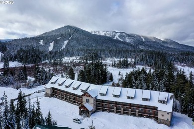 Experience mountain living at its finest in this spacious - photo 42
