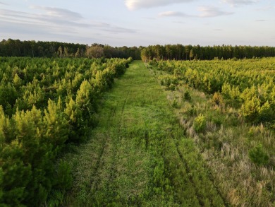 A gorgeous, large contiguous tract in the Avera community - photo 43