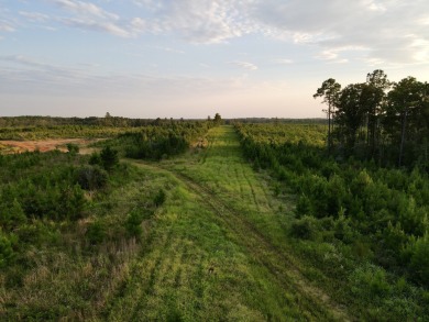 A gorgeous, large contiguous tract in the Avera community - photo 44