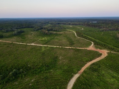 A gorgeous, large contiguous tract in the Avera community - photo 45