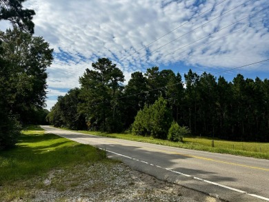 A gorgeous, large contiguous tract in the Avera community - photo 46
