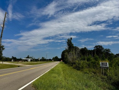 A gorgeous, large contiguous tract in the Avera community - photo 47