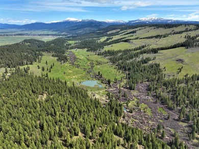 AMAZING, ONE-OF-A-KIND PROPERTY IN AN INCREDIBLY SCENIC AREA - photo 2