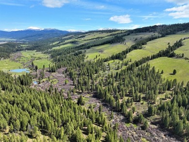 AMAZING, ONE-OF-A-KIND PROPERTY IN AN INCREDIBLY SCENIC AREA - photo 9